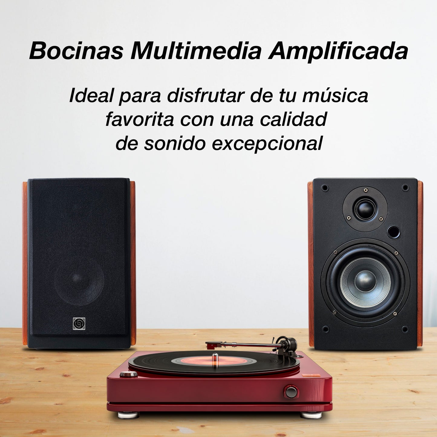 Monitor Estudio Multimedia 5.25 Pulgadas Bluetooth Steelpro