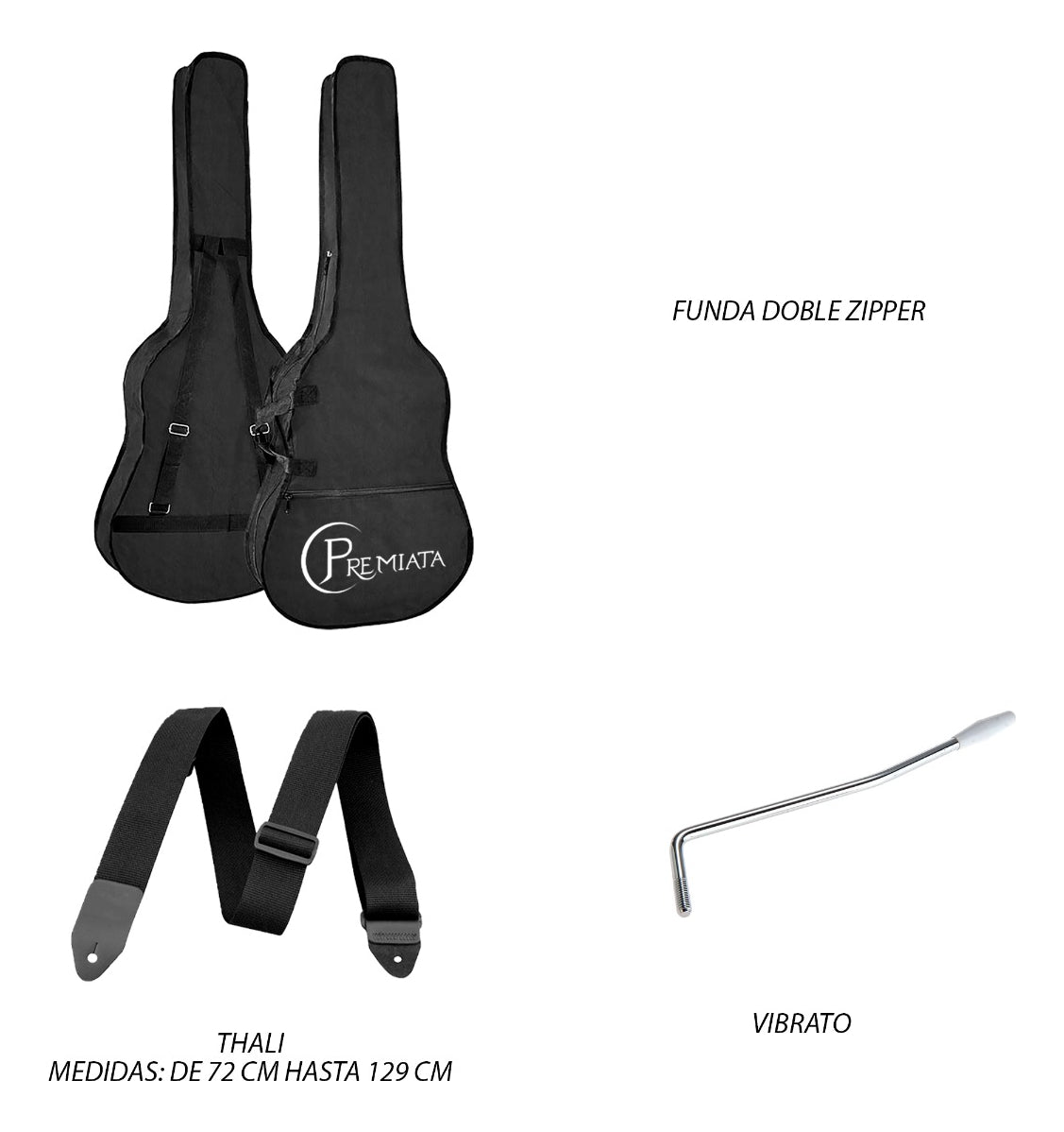 Paquete Guitarra Eléctrica Concerto Series By Premiata 013