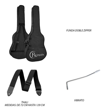 Paquete Guitarra Eléctrica Concerto Series By Premiata 013