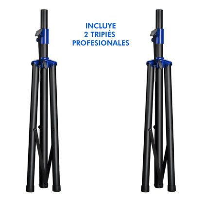 Sistema De Audio Profesional Steelpro Lineal Tubalcain 18 Color Negro