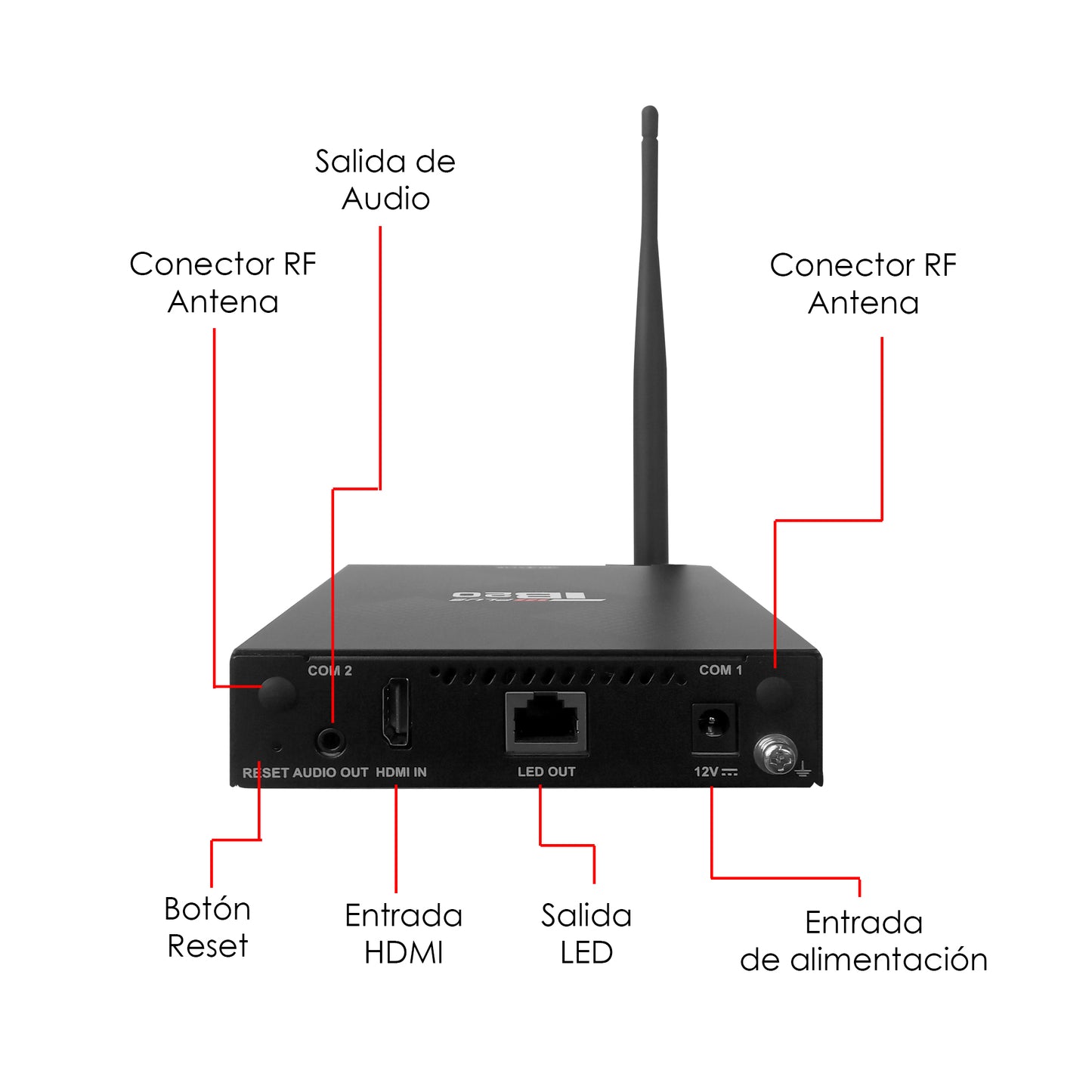 TB20PLUS Procesador Video Controlador Pantalla Led Taurus Novastar
