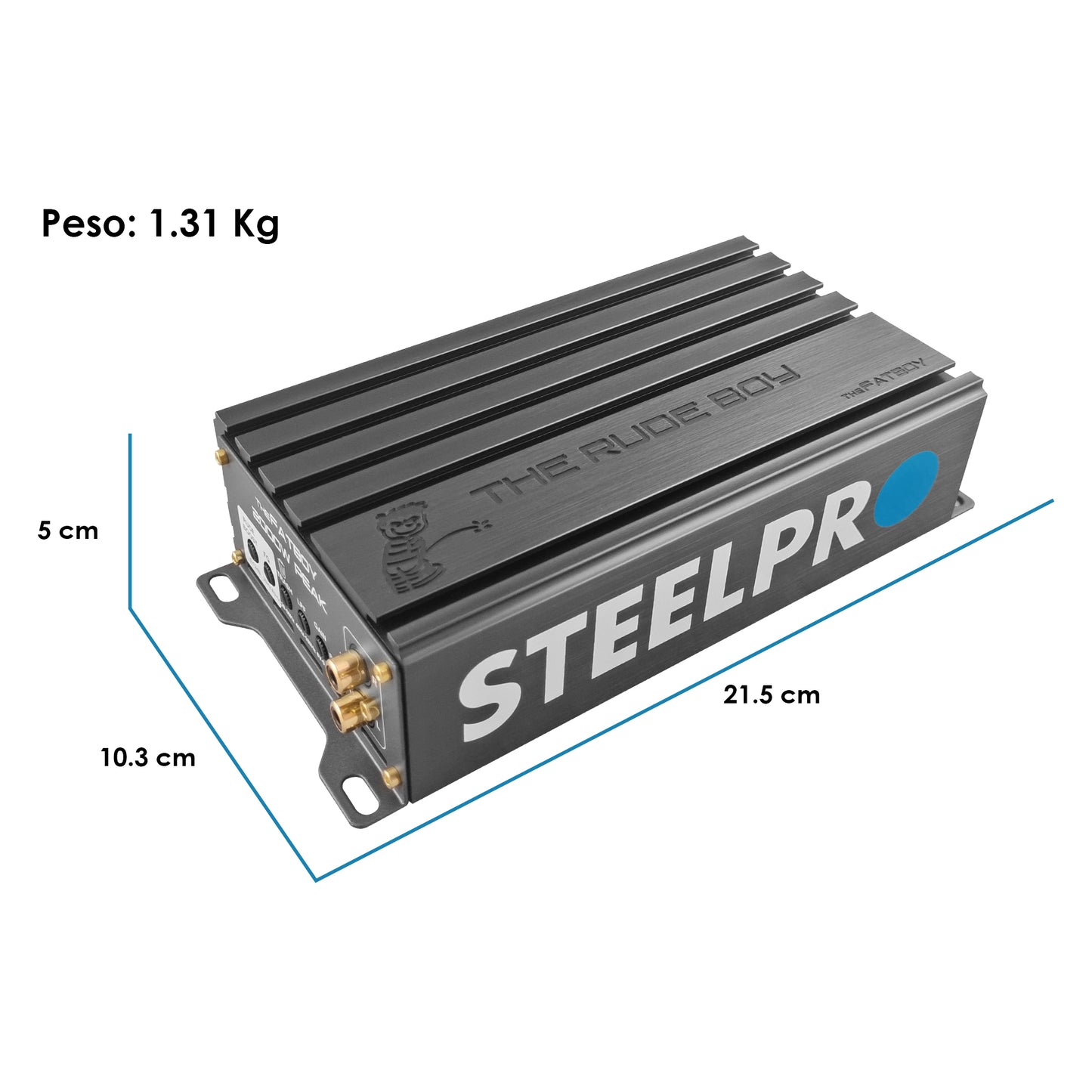Amplificador Mini Clase D para Subwoofer Monoblock Bass 1400 W MAX / 700 W x 1 RMS  1 Ohm Alto Rendimiento Open SHOW, Crossover Variable, Filtro Subsonico, Control de Bajos THE FATBOY BY RUDE BOY