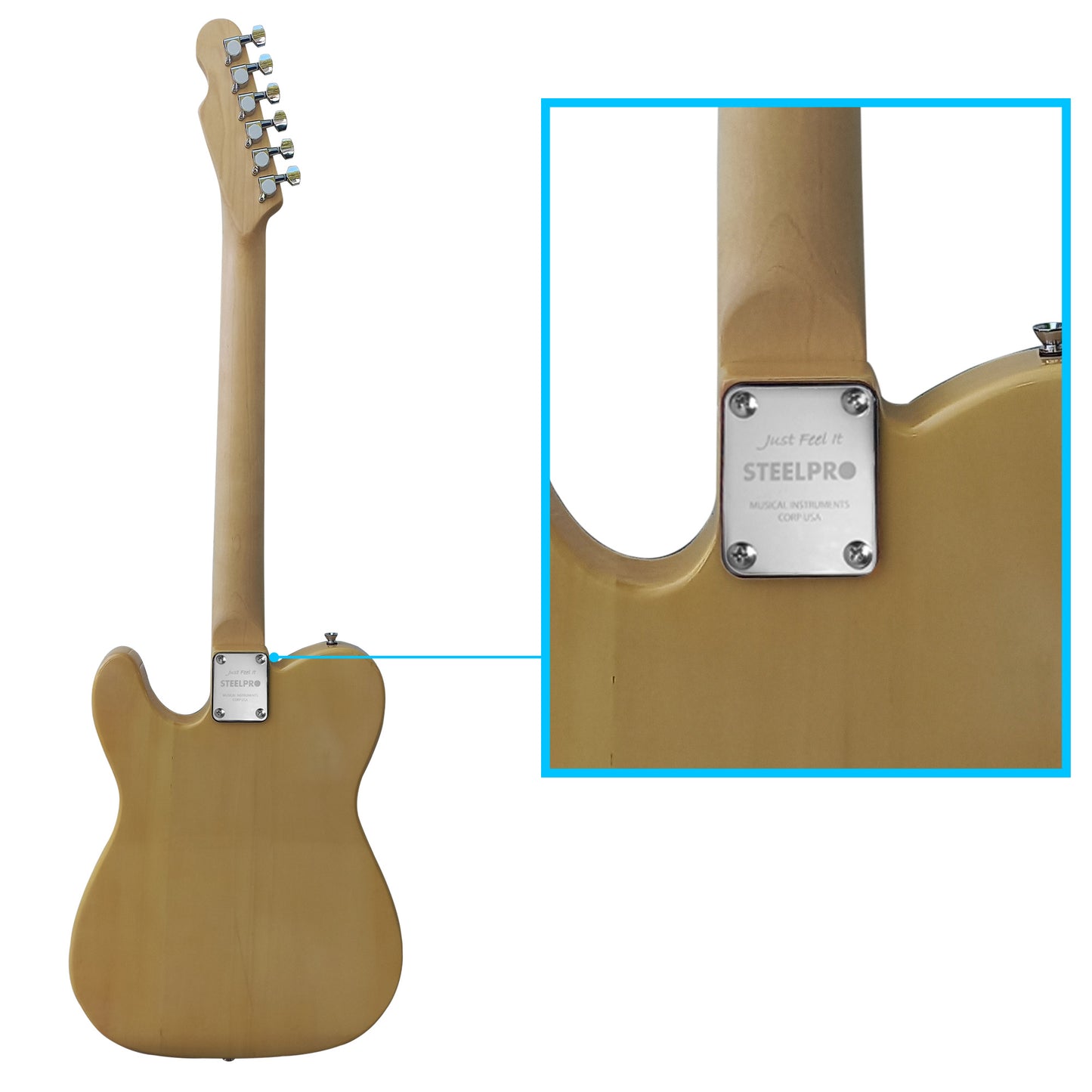 033-SK Kit Guitarra Eléctrica Ash Burl Top Con Amplificador 20W y Accesorios Para Diestros Jethro By Steelpro